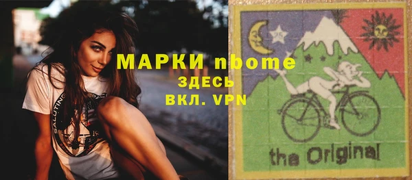 прущие грибы Аркадак