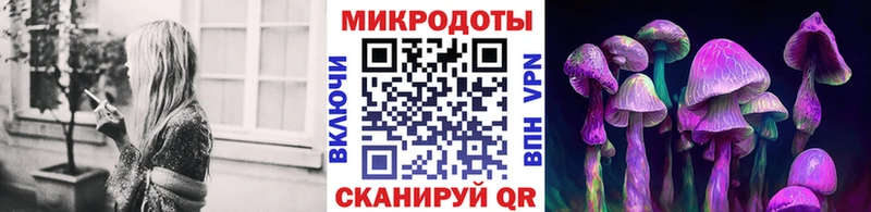 Псилоцибиновые грибы Magic Shrooms  Грязи 