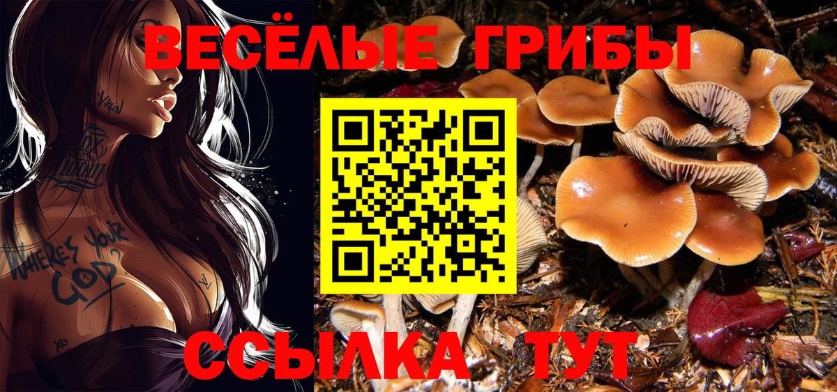 Галлюциногенные грибы MAGIC MUSHROOMS Грязи