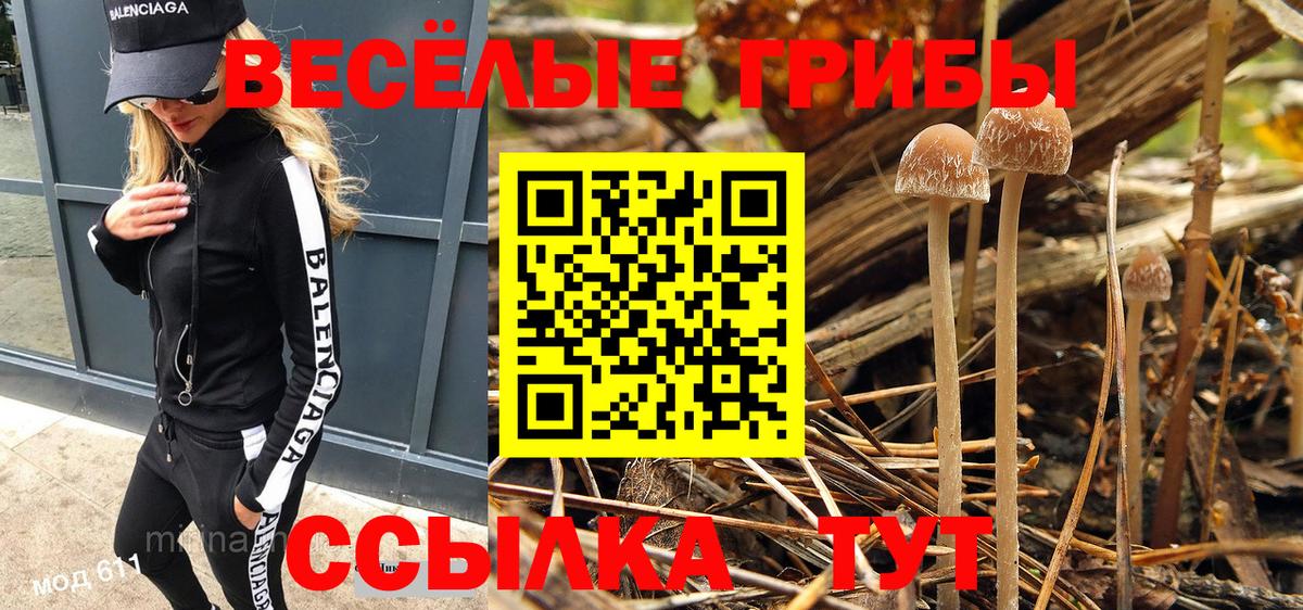 Псилоцибиновые грибы Magic Shrooms  Вход с VPN  Грязи 